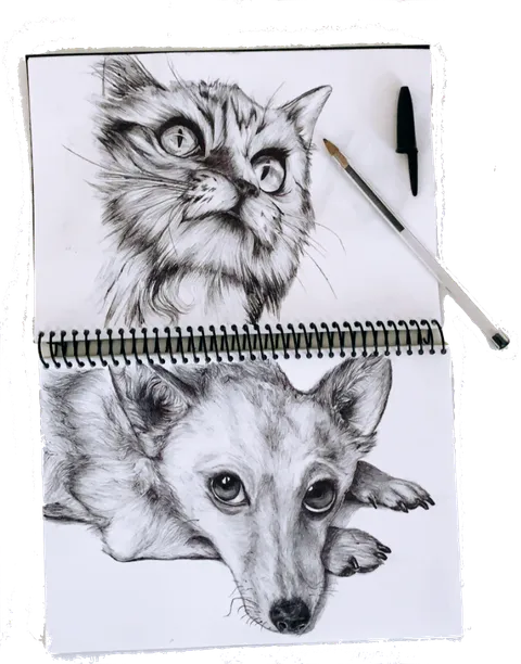 Sketchbook with detailed ballpoint pen portraits of a long-haired cat and a dog resting its head on its paws.